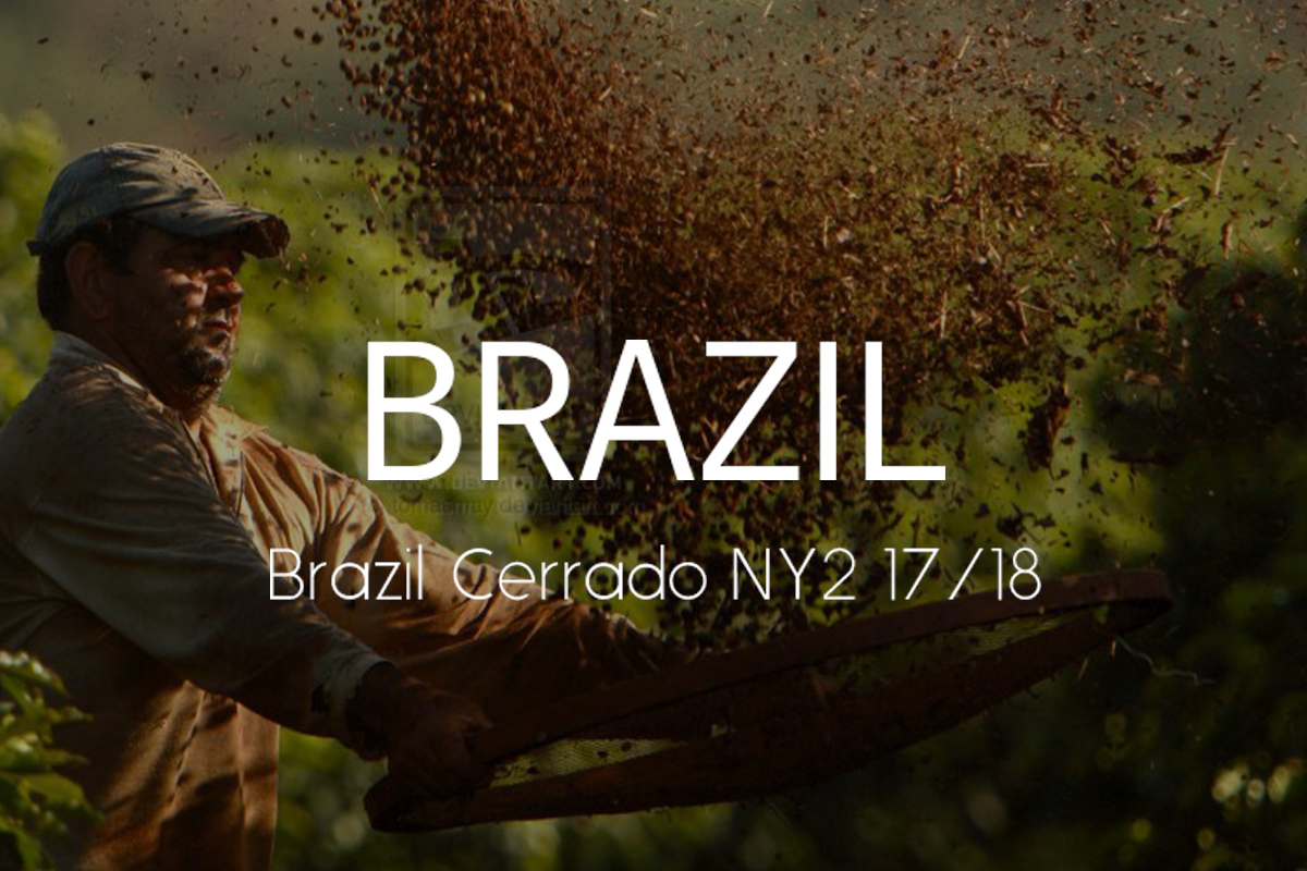 ����� ���ϵ�